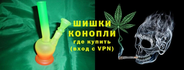 молекула духа Гусев