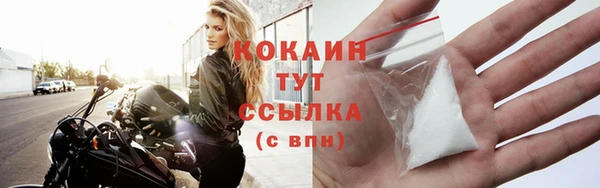 гидра Гусь-Хрустальный