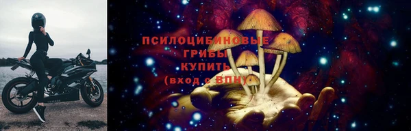 гидра Гусь-Хрустальный