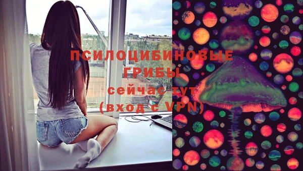 молекула духа Гусев