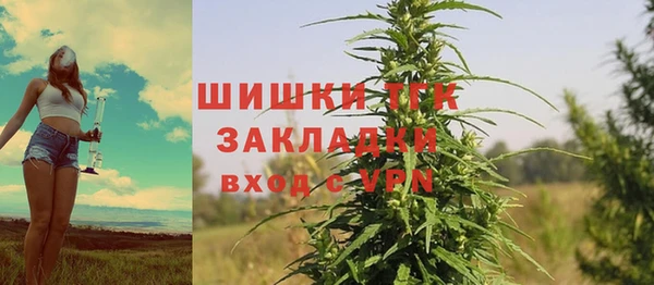 прущая мука Гусиноозёрск