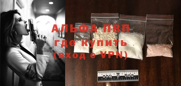 молекула духа Гусев