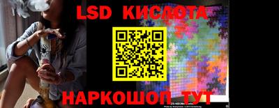 гидропоника Камышлов