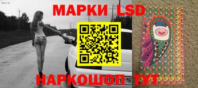 гидропоника Камышлов