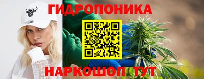 гидропоника Камышлов
