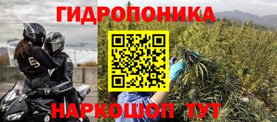 стафф Кандалакша