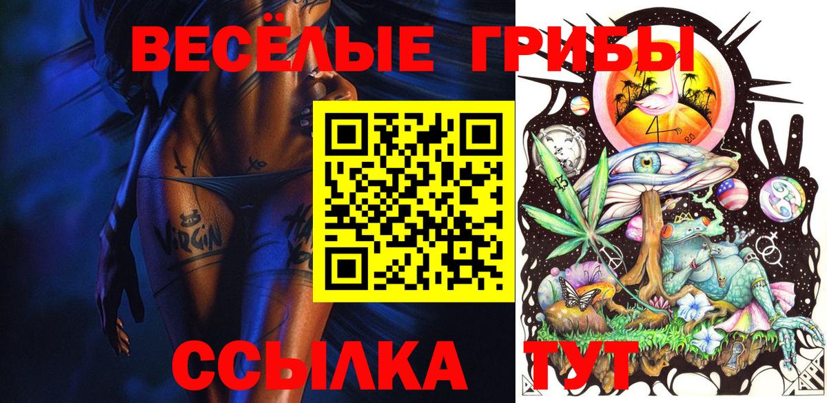 Псилоцибиновые грибы мицелий Заинск
