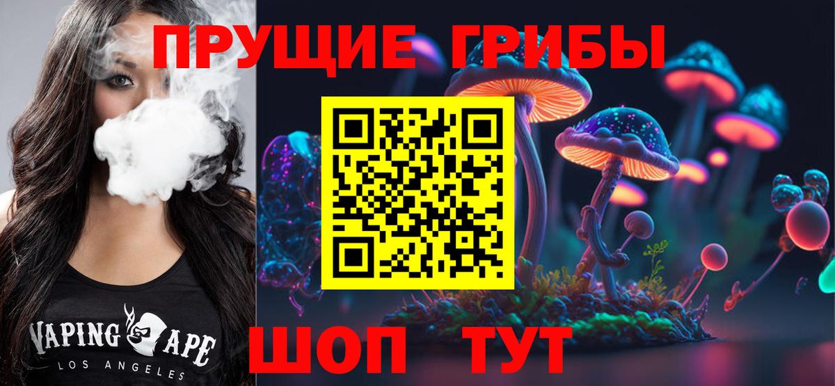 Заинск  Псилоцибиновые грибы Psilocybine cubensis  Галлюциногенные грибы Magic Shrooms  Вход с VPN 
