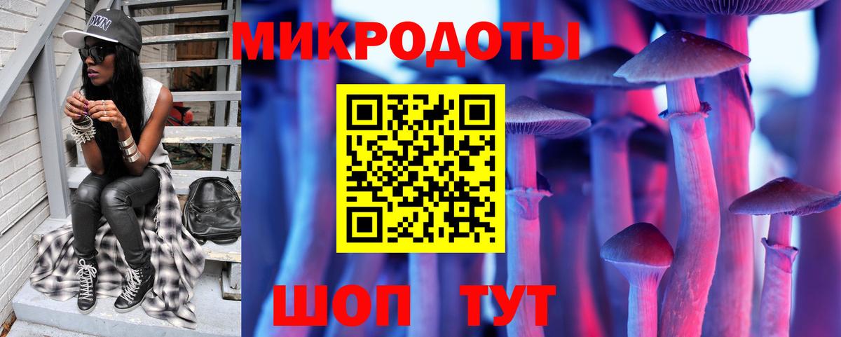 Псилоцибиновые грибы ЛСД Заинск