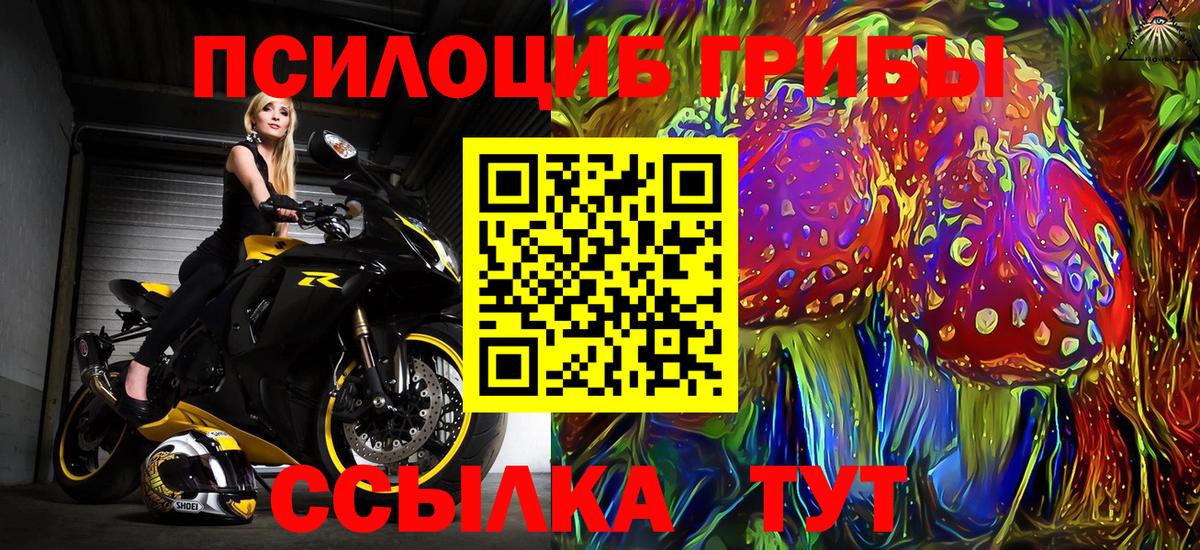 Псилоцибиновые грибы ЛСД  Заинск  Псилоцибиновые грибы MAGIC MUSHROOMS 